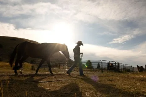 Discover the US Women Ranchers Reshaping Modern Ranch Life