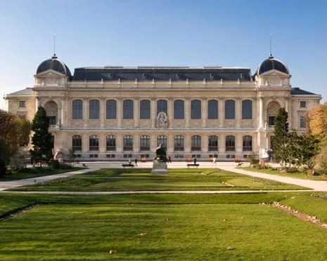 Invaluable Golden Pieces Snatched in Audacious Robbery at France's National Institution